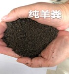 瓜果蔬菜底肥发酵纯羊粪肥果树底肥羊粪有机肥80斤