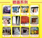 广西南宁广告扇子塑料大团扇胶扇花型扇芭蕉扇宣传小扇子定制