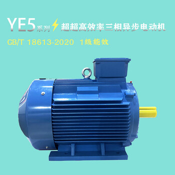 替换Y2315L-2TP4-132kW螺杆压缩机电机YE4/YE5异步电动机
