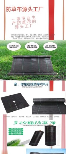 TGSG塑料双向土工格栅