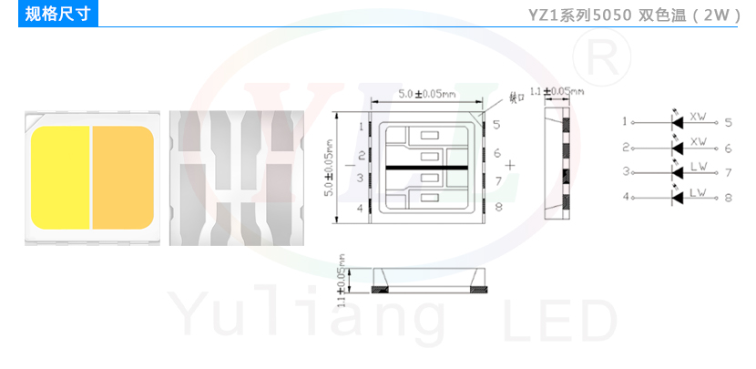 YZ1系列5050双色温灯珠规格尺寸.jpg