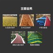 泸州广场露骨料透水混凝土景观路面详细做法及颜色选择图片