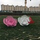 圖片_20200328134851.jpg