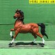 圖片_20210412090319.jpg