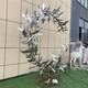 圖片_20220826153700.jpg