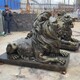 圖片_20210516095839.jpg