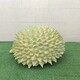 圖片_20230815090432.jpg