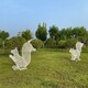圖片_20230928115153_2.jpg