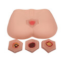 醫(yī)博階段褥瘡護(hù)理模型BIX/H10B