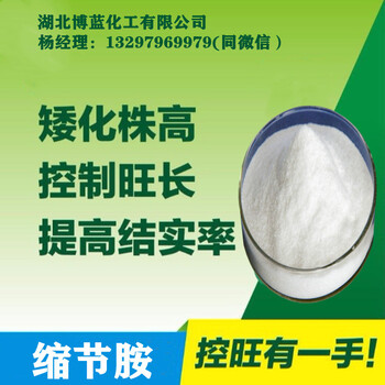 縮節(jié)胺原藥生產(chǎn)廠家