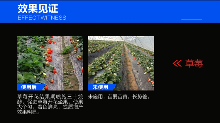 三十烷醇簡介2.jpg