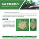 蘇云金桿菌原藥簡(jiǎn)介_(kāi)副本.jpg