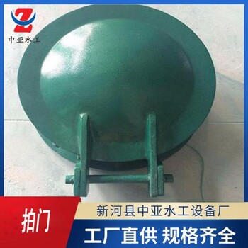 折疊式鑄鐵拍門法蘭拍門雙鬼拍門自由側(cè)翻式拍門