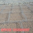 雷諾護(hù)墊價(jià)格6塊錢一平？