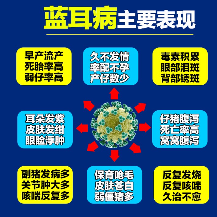 金葵花战蓝套装.jpg