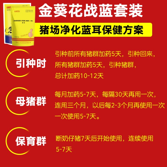 金葵花战蓝套装.jpg