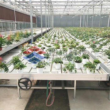 潮汐式底部灌溉苗床1.7*20米手搖移動(dòng)苗床