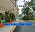 供应学生过道张拉膜雨棚-学校住宿楼到教学楼过道膜结构雨棚设计图片