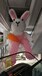 气球人偶​湘潭兔子气球人偶制作网红熊气球人偶