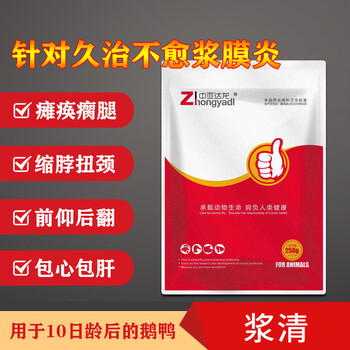 鵝漿膜炎治不好怎么辦鵝漿膜炎久治不愈的原因