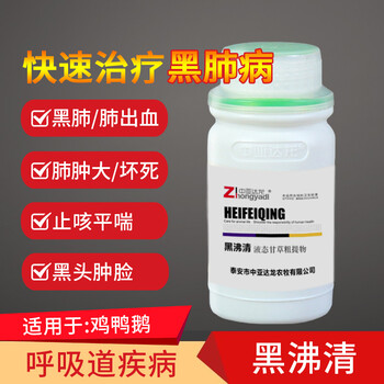 肉鴨黑肺病的控制措施鴨子感染黑肺癥用什么好