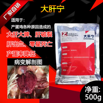 雞大肝大脾的防控方案雞為什么會發(fā)生肝破裂