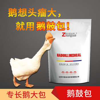 鵝加快頭包生長用達龍鵝鼓包鵝長頭包和啥有關(guān)