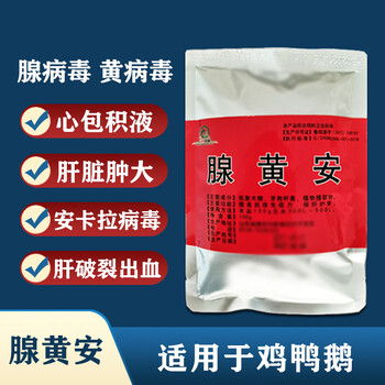 肉雞腺病毒多久才能治好給肉雞喂什么藥能快速腺病毒