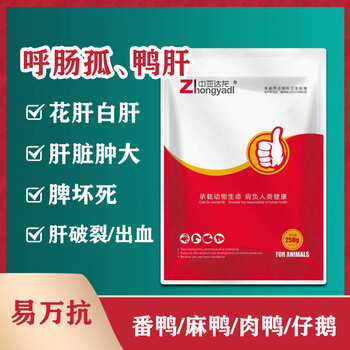 鴨群呼腸孤病毒有什么方案鴨群如何快速治療肝臟腫大