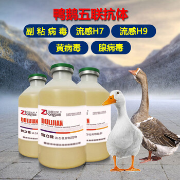 鵝流水樣鼻液應(yīng)該怎么治療見效快鵝流水樣鼻液是怎么回事