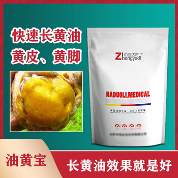 母雞怎么可以油黃毛亮母雞不長(zhǎng)黃皮是什么導(dǎo)致的
