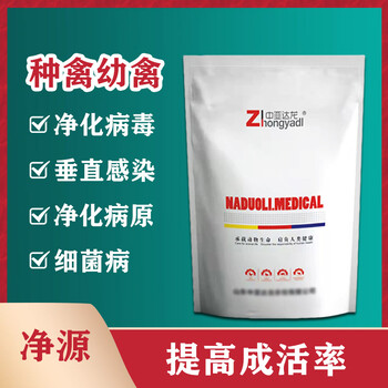 快速解決雞易感疫病的問題給雞凈化疫病需要注意什么