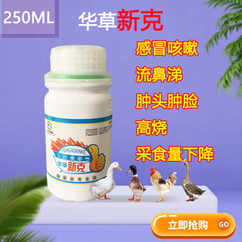 雞流感用啥產(chǎn)品治療雞得流感后的診治方案