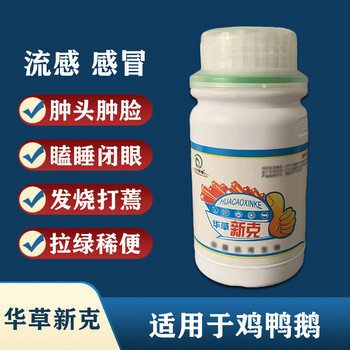 雞流感用啥產(chǎn)品治療雞得流感后的診治方案