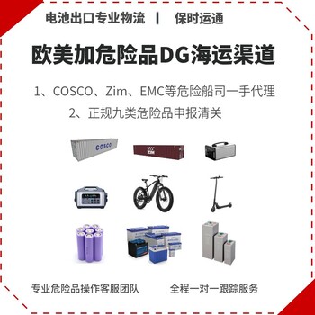 内置锂电池出口美国海运货代找保时运通电动自行车国际运输物流