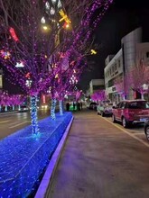 大同LED串燈戶外小區(qū)街道亮化節(jié)日彩燈漁網(wǎng)燈圖片