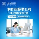 長治標書制作電子投標上傳百人團隊標書代寫龍城標局