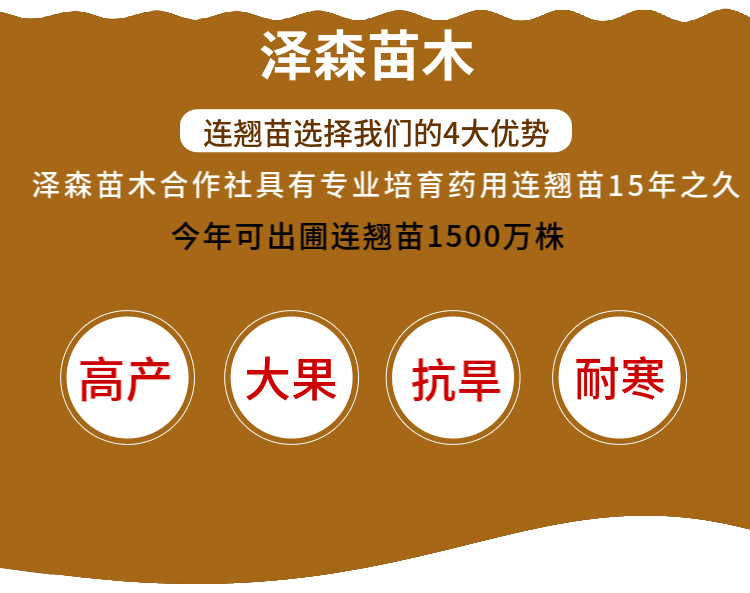 48203.png@750w_750h_90Q
