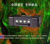 蔡司显微镜Axioscope5/Axioscope7大功率LED荧光光源