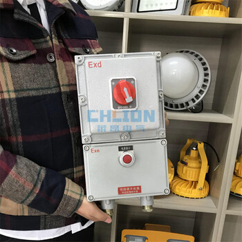 防爆斷路器_防爆開(kāi)關(guān)箱BDZ52系列