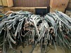 阜阳废电缆回收厂家