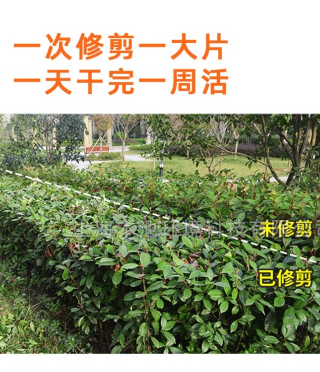 1675475002657240.jpg@750w_750h_90Q