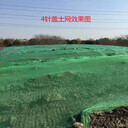 成都工地防揚塵蓋土網(wǎng)現(xiàn)貨銷售廠家綠色遮陽網(wǎng)蓋土蓋沙網(wǎng)