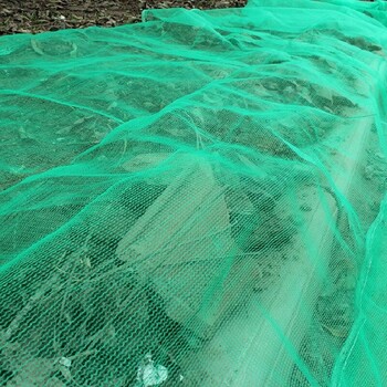 成都便宜的蓋土網銷售商家綠色防塵網蓋山網密目網