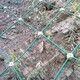 b_5529582202102011209449868.jpg