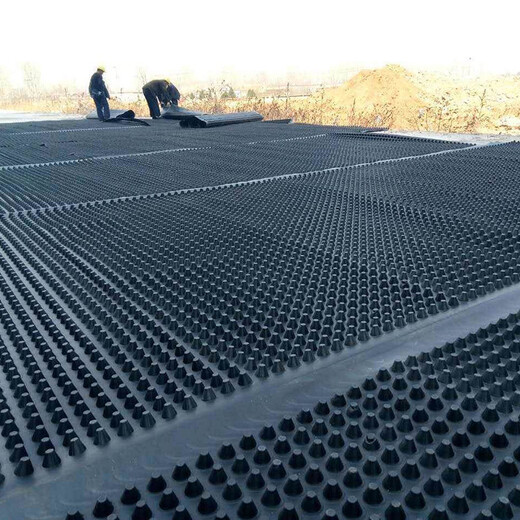 雅安工地排水板屋顶绿化排水板蓄水板