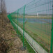 成都铁丝围栏网销售厂家水渠河道隔离网绿色铁丝网
