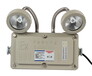 登峰DF防爆應急燈3W-10W3hS防爆疏散標志燈EXIT安全出口