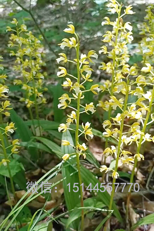 1674717094736924.jpg@750w_750h_90Q