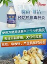 鴨肝抗體保護(hù)率低，反復(fù)發(fā)作怎么解決？